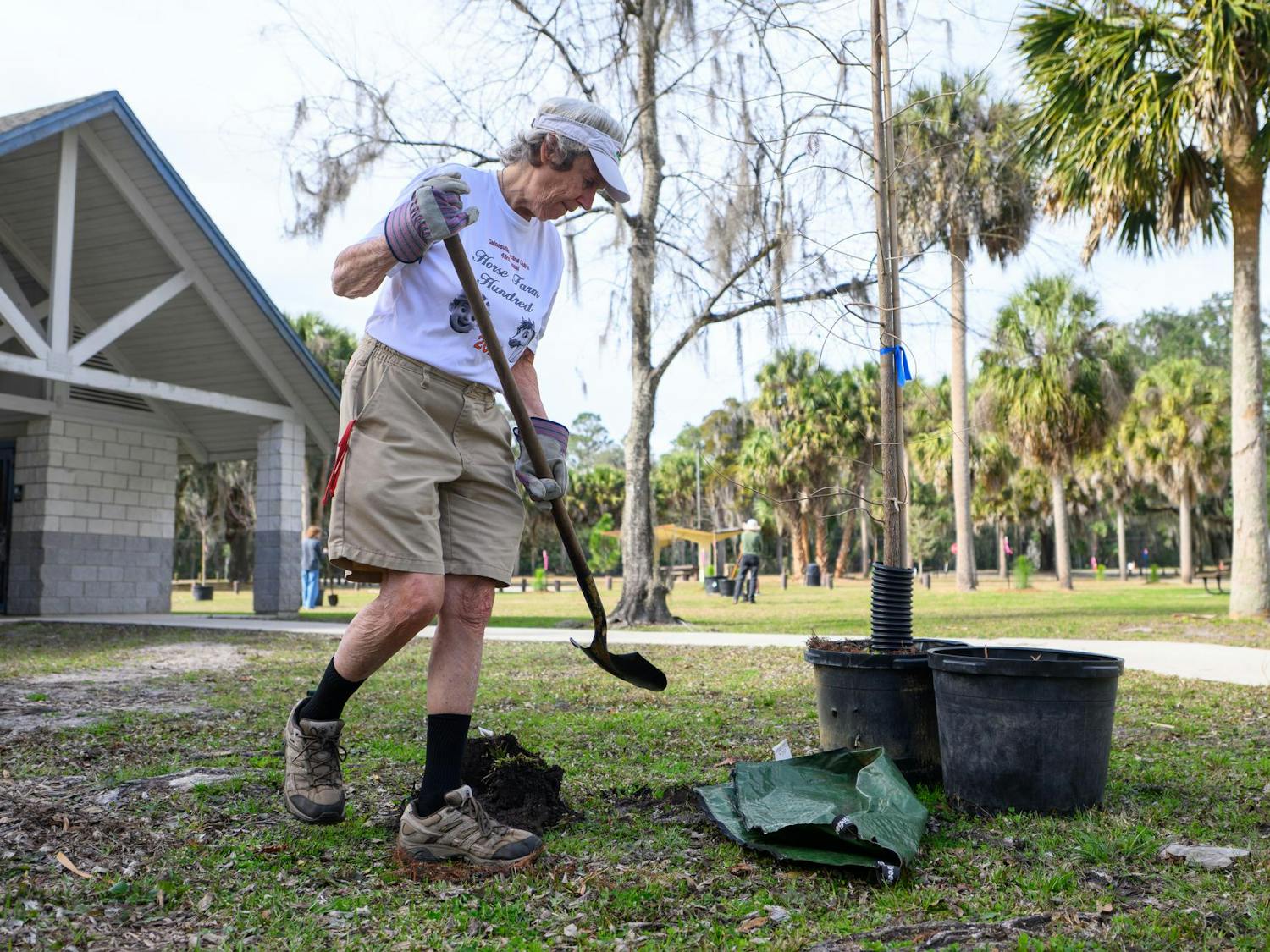 Judy Gardner, a tree planting volunteer, digs a hole during an Arbor Day festival at Earl P. Powers Park in Gainesville, Fla., Saturday, Jan. 17, 2026.