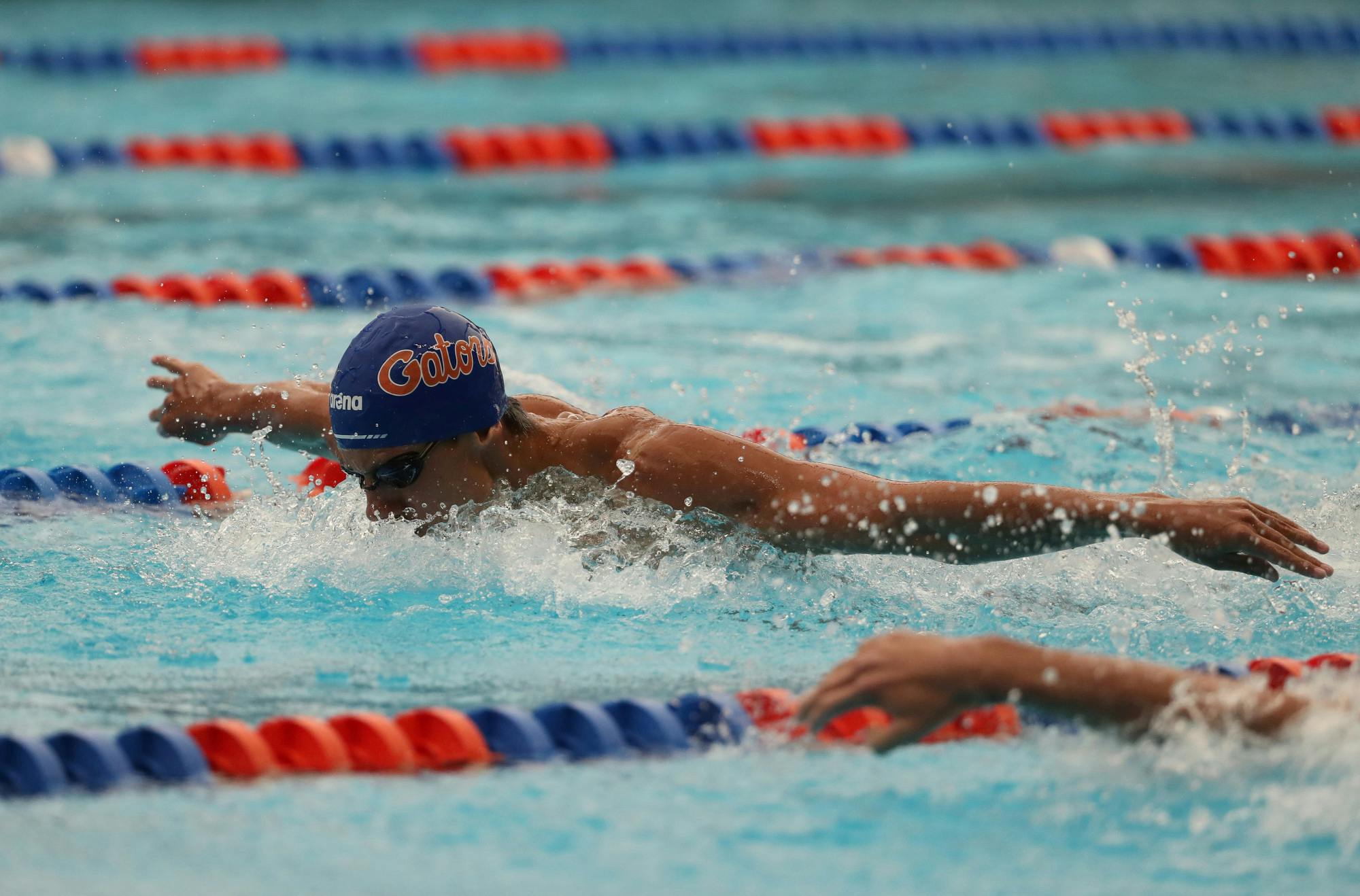 A Florida swimmer competes at the Stephen C. O’Connell Center Natatorium in Gainesville, FL / UAA Communications photo by Hannah White
