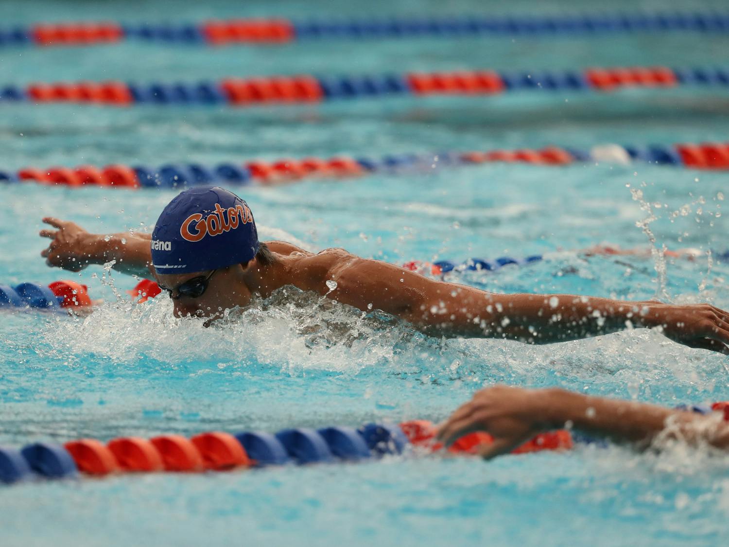 A Florida swimmer competes at the Stephen C. O’Connell Center Natatorium in Gainesville, FL / UAA Communications photo by Hannah White