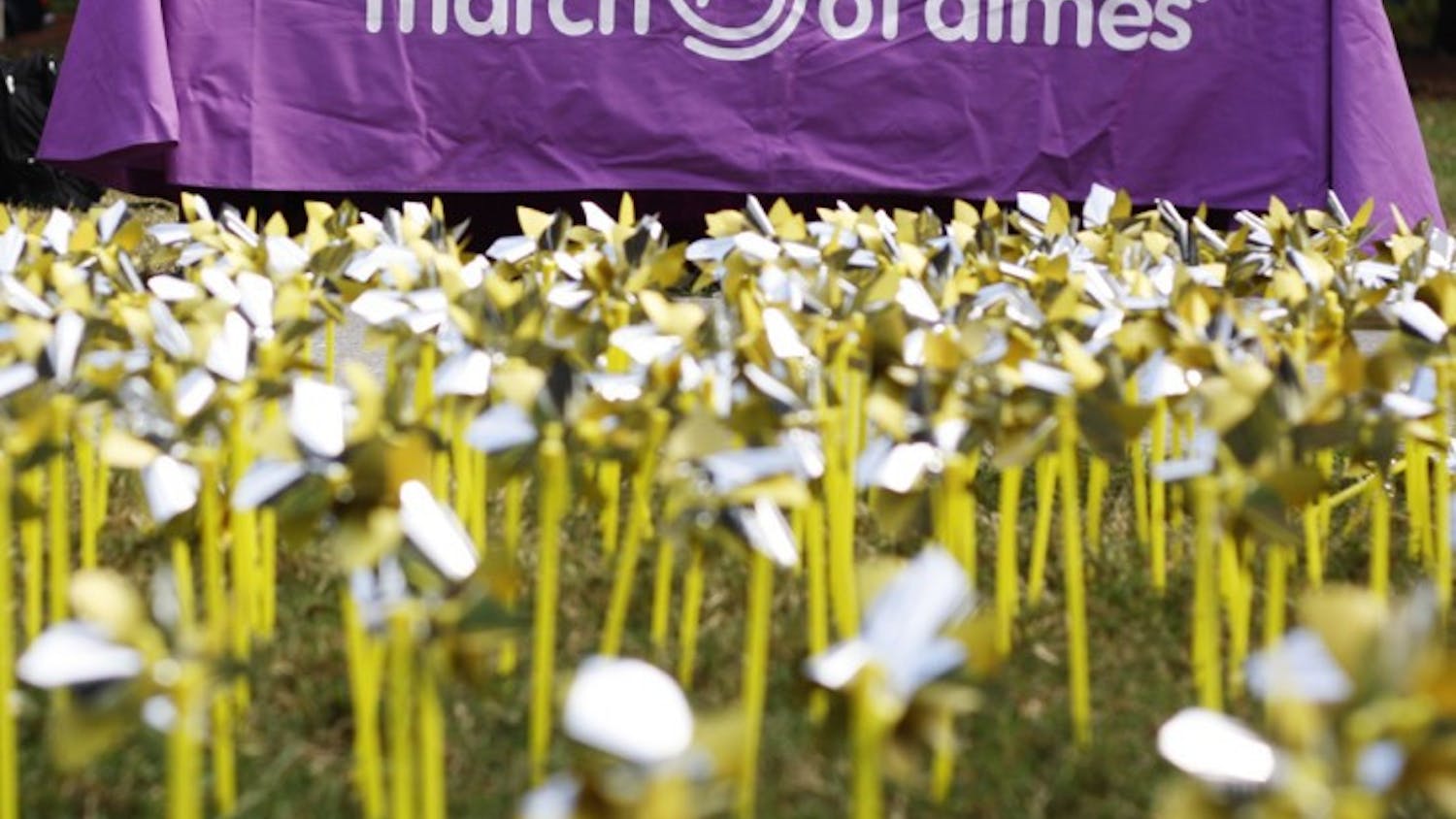 Pinwheels in the Plaza of the Americas raise awareness for the 9th annual Gators March for babies. The march will take place on Sunday, November 4th.