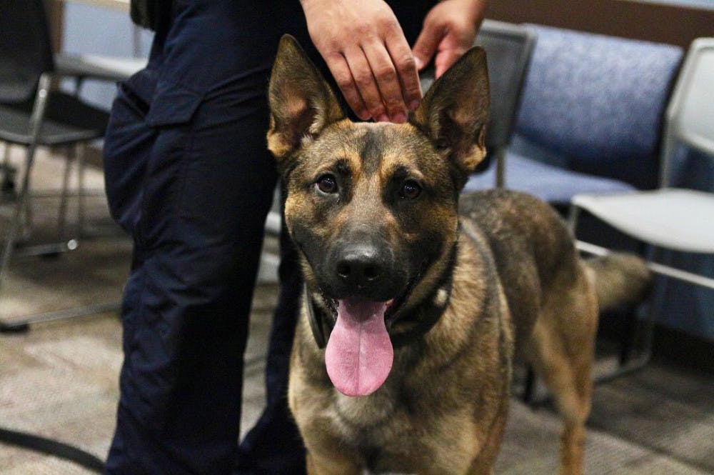 <p>Edward Ratliff, 32, Gainesville Police Department Police officer pets Ace, 26-month old German Shepherd and Belgian Malinois mix, who is one of the newest additions to the K-9 special unit.</p>