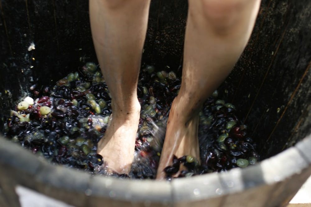 <p>Grapes of Wrath - A Gainesville resident stomps grapes Saturday at Grape Stompin’, a wine-tasting and grape-stomping event. Paulk Vineyards, in Wray, Ga., donated one ton of muscadine grapes, said Gabrielle Fellenz, executive assistant to the director of Gainesville’s Pledge 5 Foundation.</p>