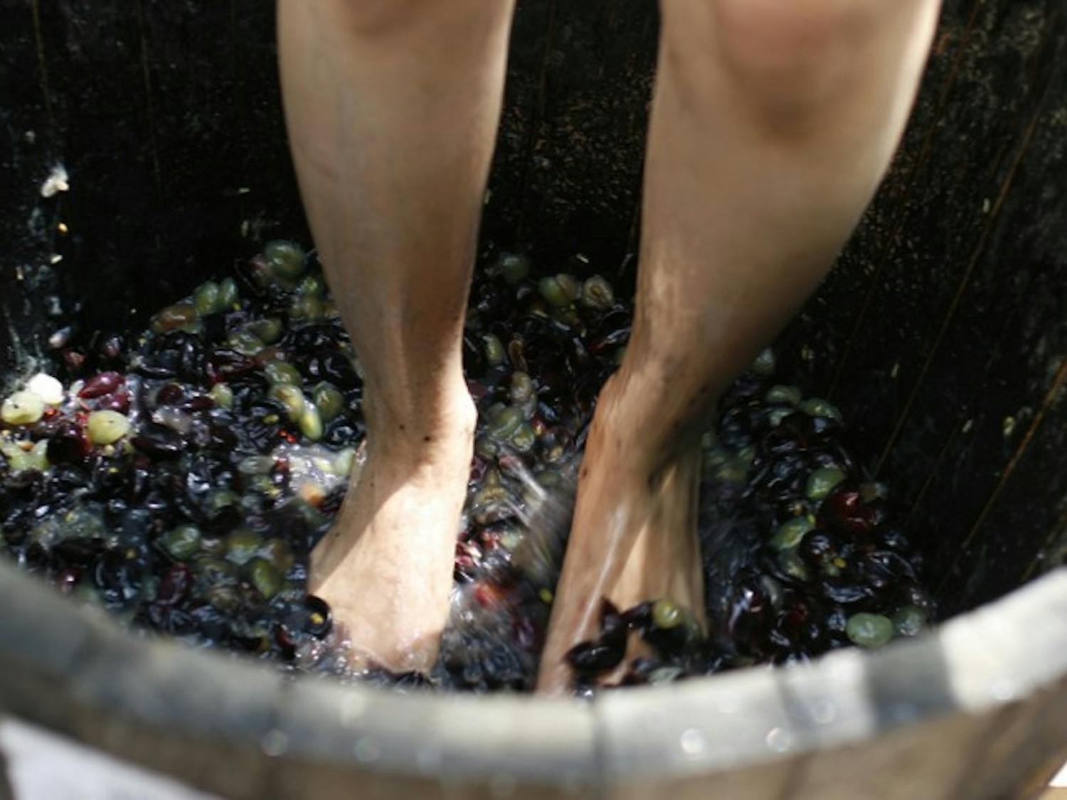 Grapes of Wrath - A Gainesville resident stomps grapes Saturday at Grape Stompin’, a wine-tasting and grape-stomping event. Paulk Vineyards, in Wray, Ga., donated one ton of muscadine grapes, said Gabrielle Fellenz, executive assistant to the director of Gainesville’s Pledge 5 Foundation.