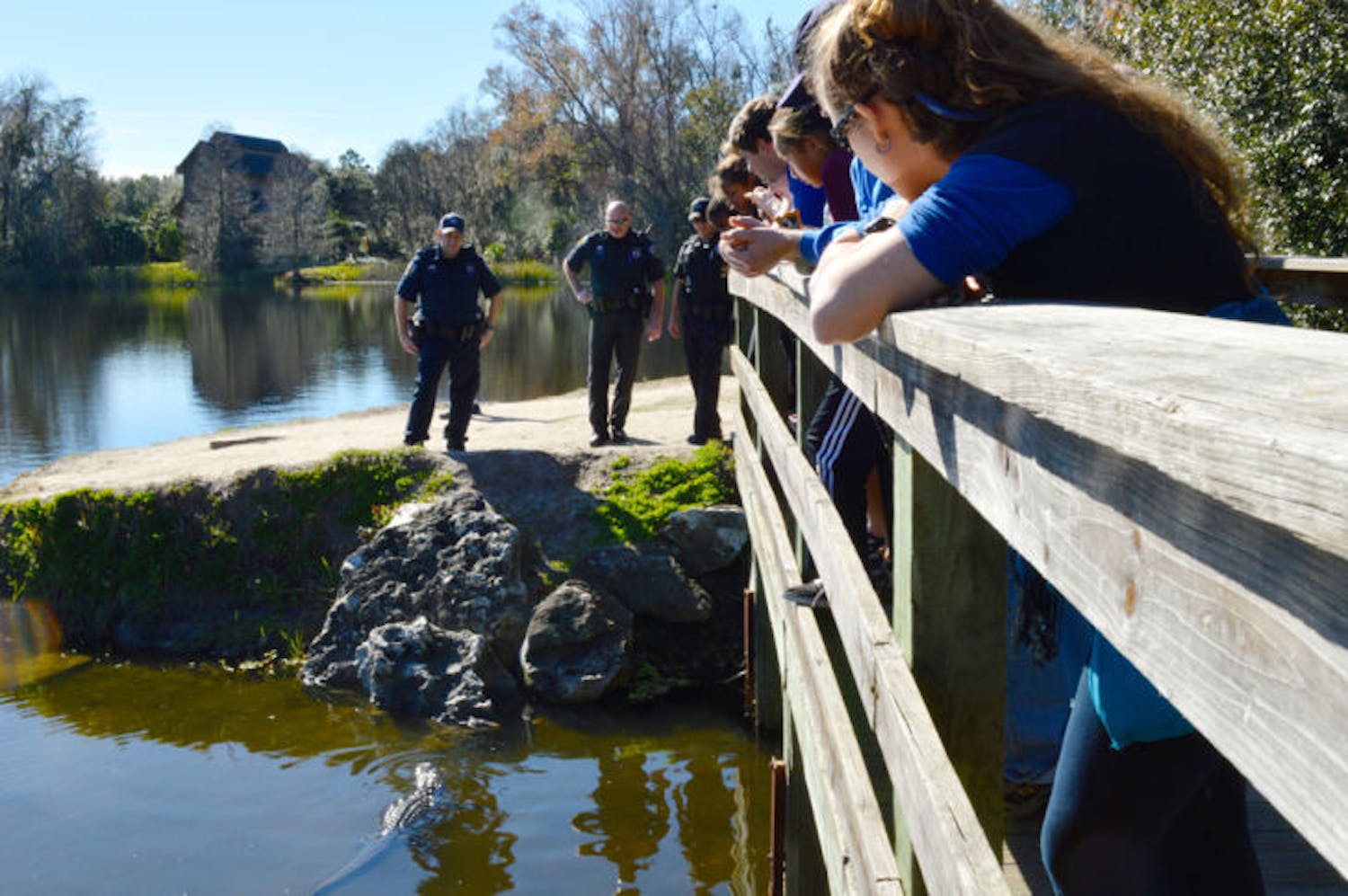 University Police officers prepare to remove an alligator from Lake Alice on Monday. The gator had a hook stuck in its mouth.