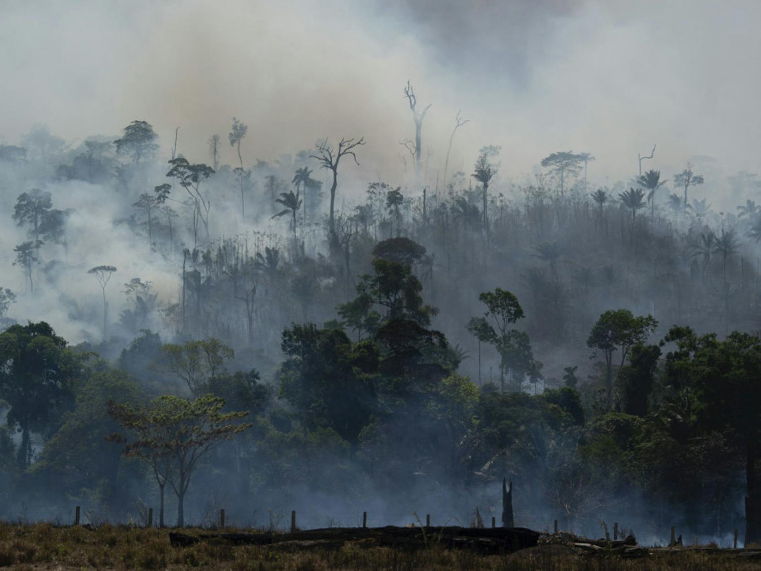 Fire consumes the Amazon rainforest in Altamira, Brazil, on Tuesday, Aug. 27, 2019. Fires across the Brazilian Amazon have sparked an international outcry for preservation of the world's largest rainforest. (AP Photo/Leo Correa)