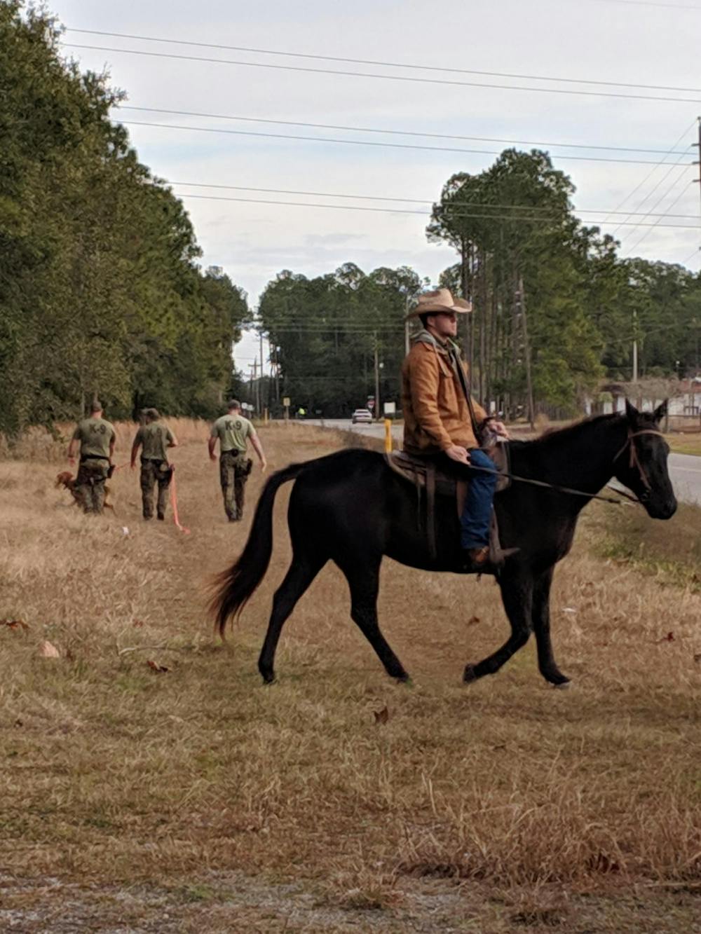<p dir="ltr"><span>Volunteers on horseback aided officers on foot in the search through the wooded area near Grace Marketplace, at 3055 NE 28th Drive. The search lasted roughly 4 and a half hours. Courtesy to The Alligator.</span></p><p><span> </span></p>