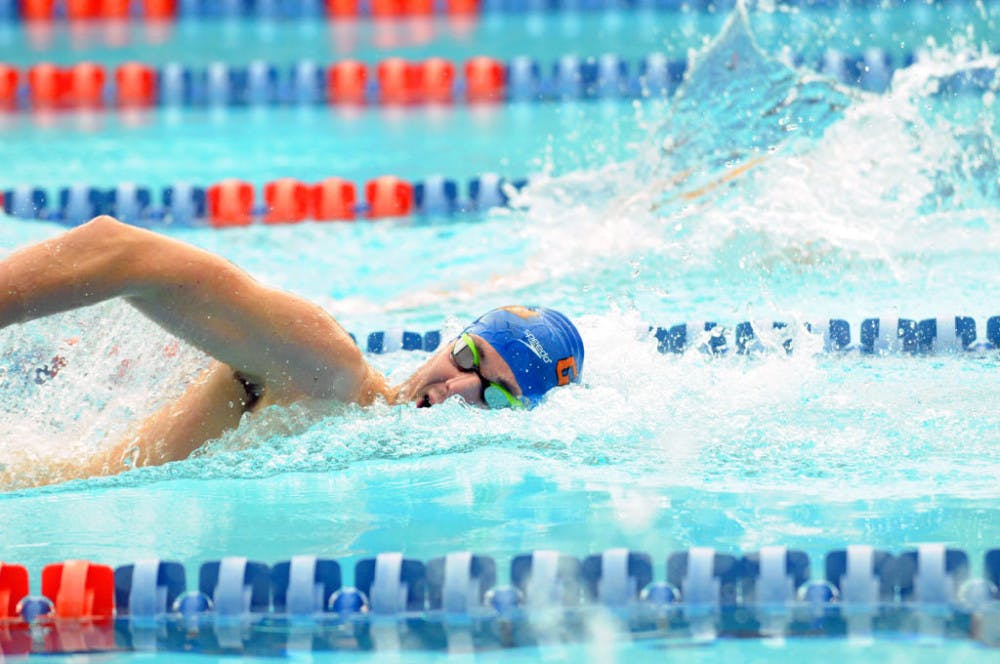 Mitch D’Arrigo races in the 400 meter freestyle during Florida’s meet against Auburn on Jan. 23, 2016, in the O’Connell Center.