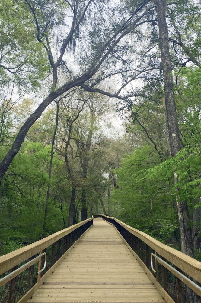 Pictured is the renovated Loblolly Woods Nature Park boardwalk on Eighth Avenue. The quarter-mile-long boardwalk is now open to the public after being closed for almost a year for repairs to holes and the side rails.