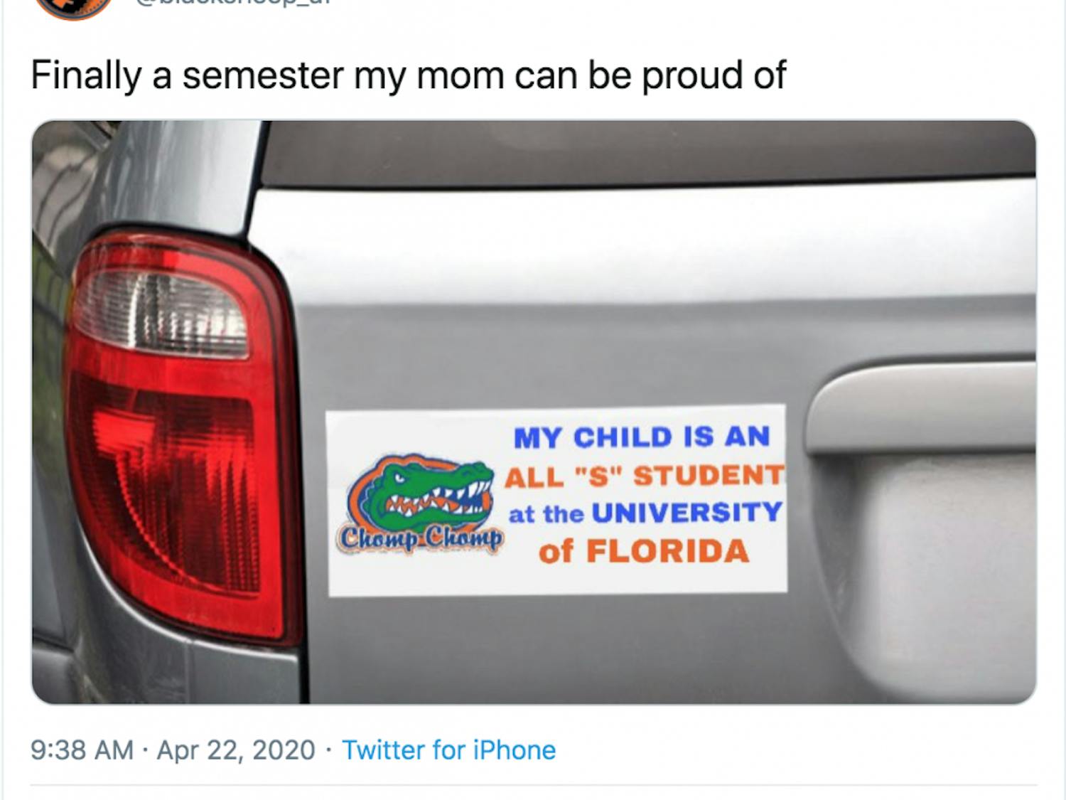 The Black Sheep UF, a multi-platform social media account run by a team of seven students, entertains more than 15,000 followers on Instagram and 10,000 on Twitter.