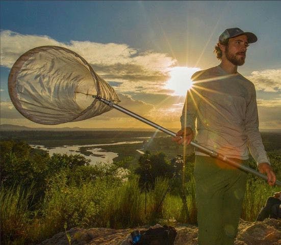 Harlan Gough, 28,&nbsp;used nets to catch rare species of butterflies in the savannas of Mozambique. The&nbsp;a fourth-year UF biology doctoral student, along with other UF researchers, will be featured on an episode of PBS' 'Nature' series.
