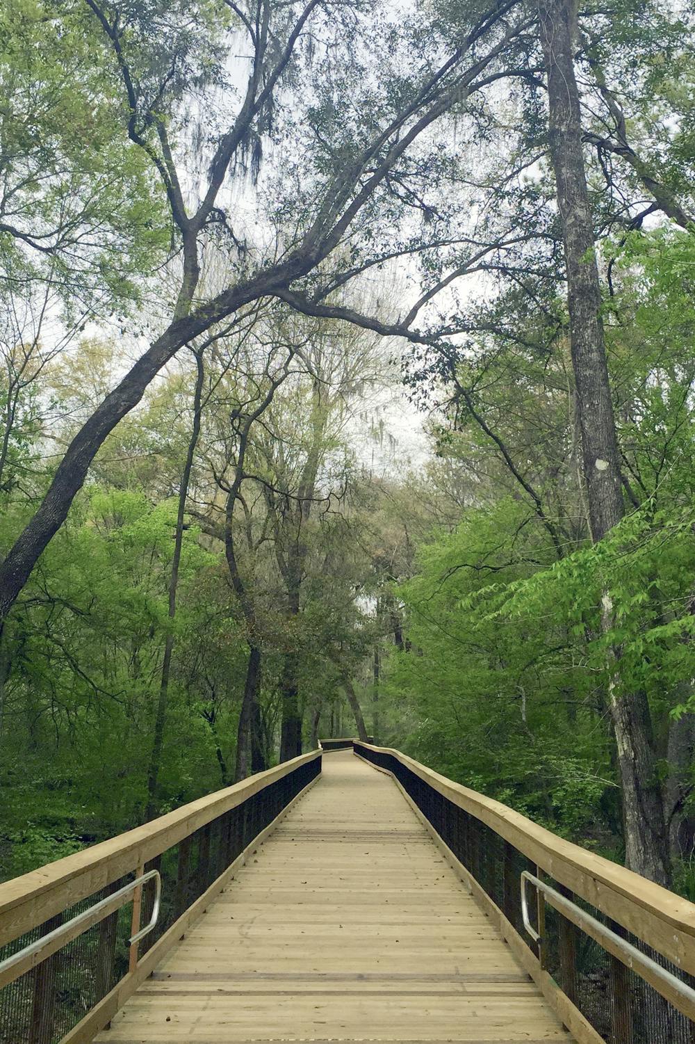 <p>Pictured is the renovated Loblolly Woods Nature Park boardwalk on Eighth Avenue. The quarter-mile-long boardwalk is now open to the public after being closed for almost a year for repairs to holes and the side rails.</p>