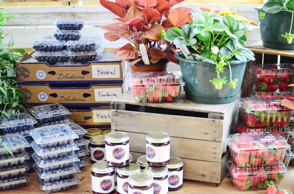 Pictured is produce showcased in the “Flavors of Florida” event at the UF President’s House on Monday evening. Guests were able to taste dishes made with ingredients grown by breeders from the UF/IFAS Plant Innovation Center and the UF/IFAS Plant Breeding Program.