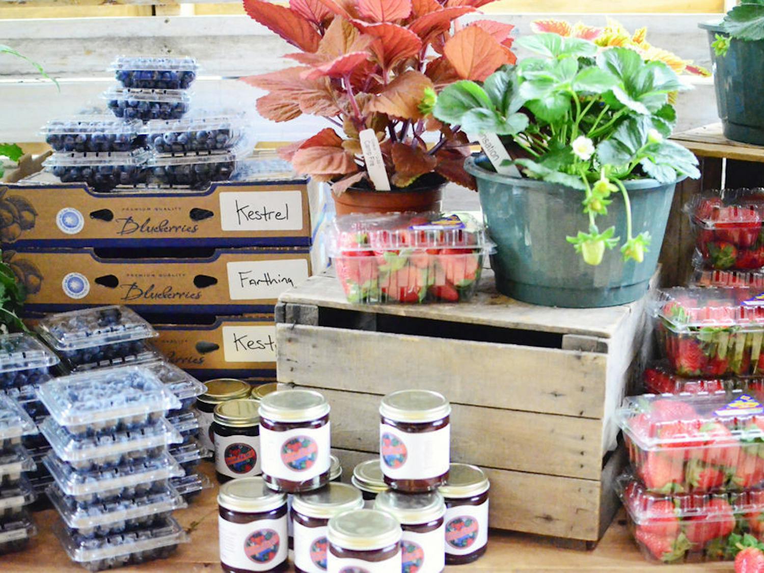 Pictured is produce showcased in the “Flavors of Florida” event at the UF President’s House on Monday evening. Guests were able to taste dishes made with ingredients grown by breeders from the UF/IFAS Plant Innovation Center and the UF/IFAS Plant Breeding Program.