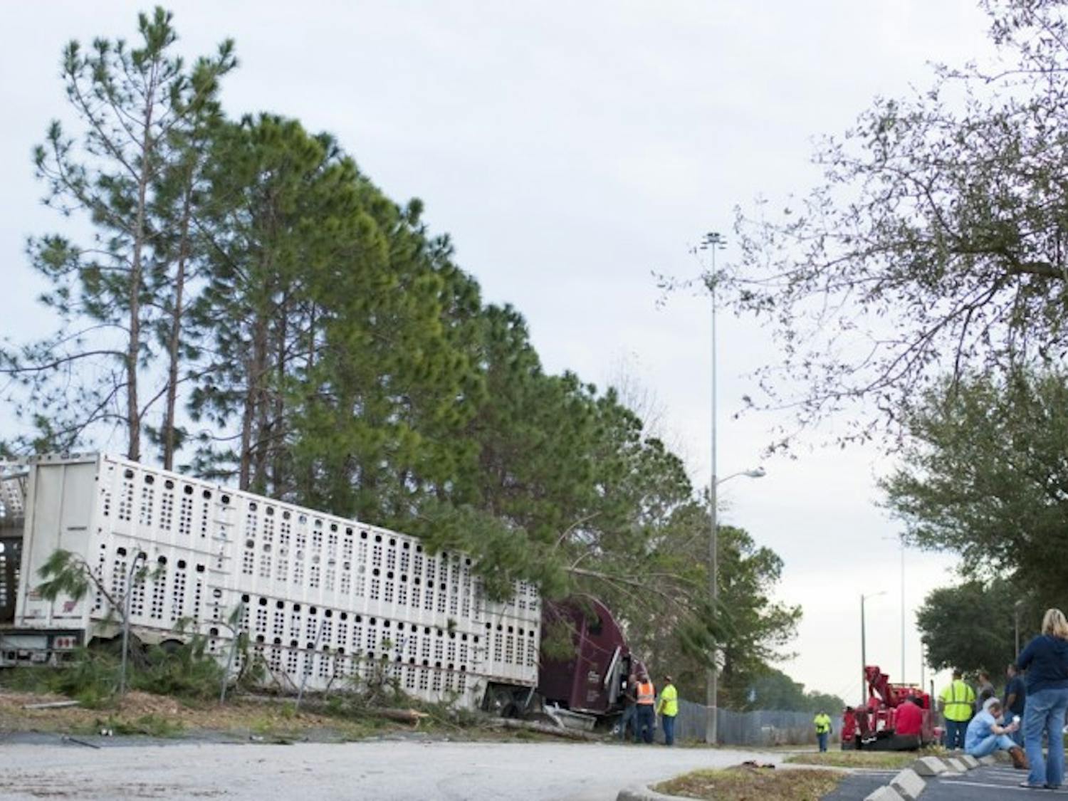 A semitruck carrying cattle ran off the road on Interstate 75 in Gainesville on Saturday afternoon. The crashed caused northbound and southbound traffic to slow down while officials gathered escaped cows. One person was treated for injuries and taken to Shands at UF. By 5 p.m., traffic reopened for all lanes.