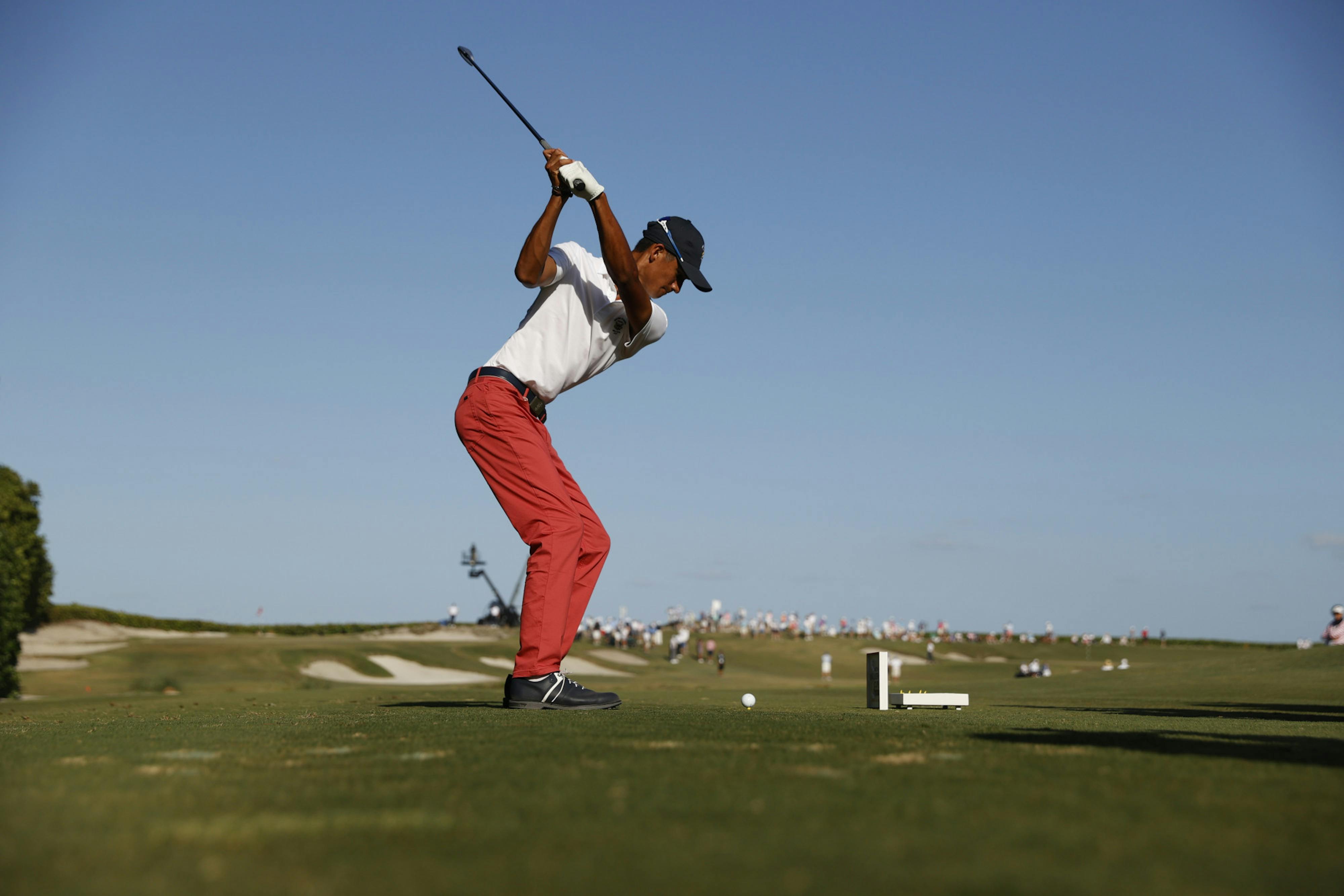 Castillo stays healthy and shines in Walker Cup - The Independent Florida Alligator - Vimarsana News