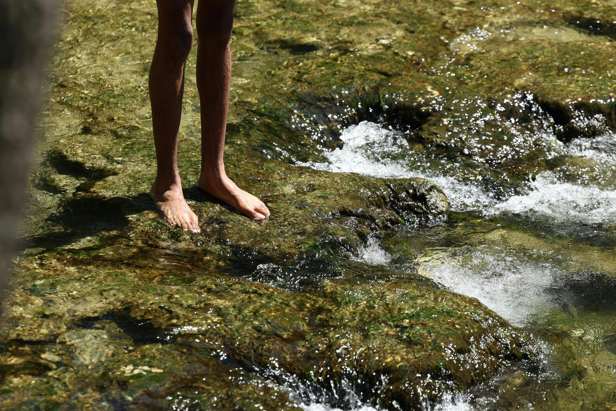 People wade through Poe Springs in High Springs, Fla., Thursday, April 17, 2026.