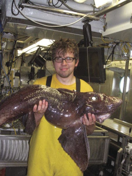 Randy Singer, a 31-year-old UF Ph.D. student, works with the NOAA to research rare deep-sea fish through their Okeanos Explorer project. Singer has been working with the NOAA since 2013.
&nbsp;