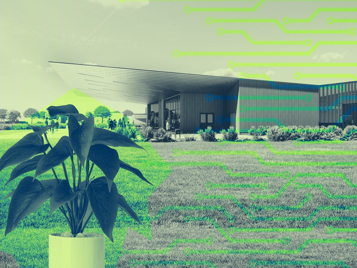 UF/IFAS is opening the Center for Applied Artificial Intelligence in Agriculture to integrate AI into agriculture as a result of lack of farm labor in Florida.