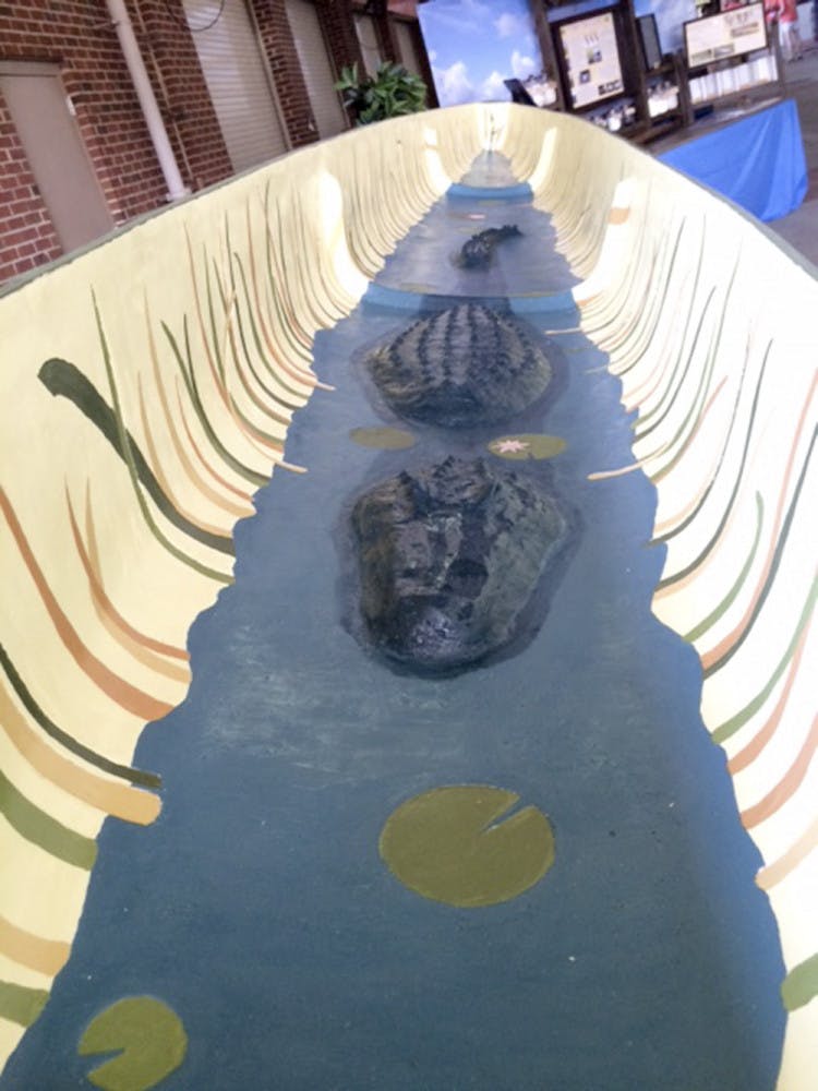 “We didn’t put ‘gator’ in the name of our boat this year, which they’ve done in the past,” said Tyler Mokris, the team’s construction and paddling captain. “So we just decided to put a gator straight in the boat.”