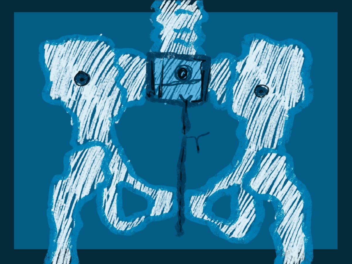 Lorde’s new album Virgin  is her first non-collaborative release in the past few years, exploring aspects of her own identity.