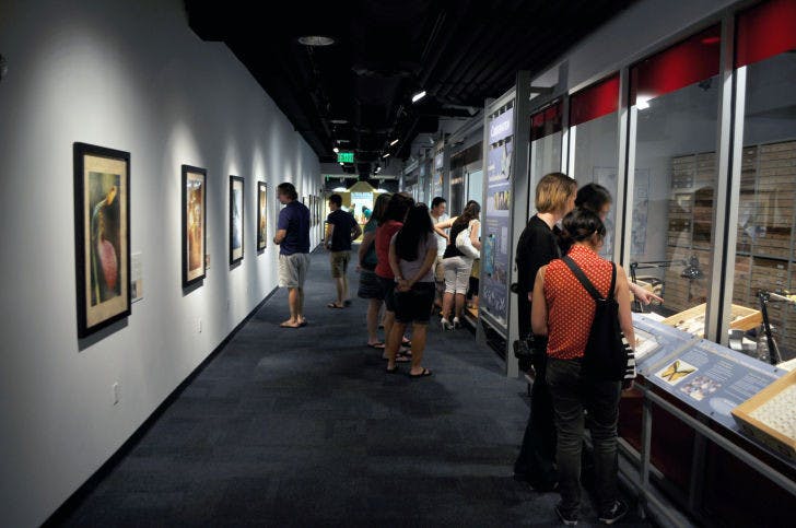 Groups of interested onlookers peruse “Botanical Chords,” a nature exhibit at the Florida Museum of Natural History.
&nbsp;