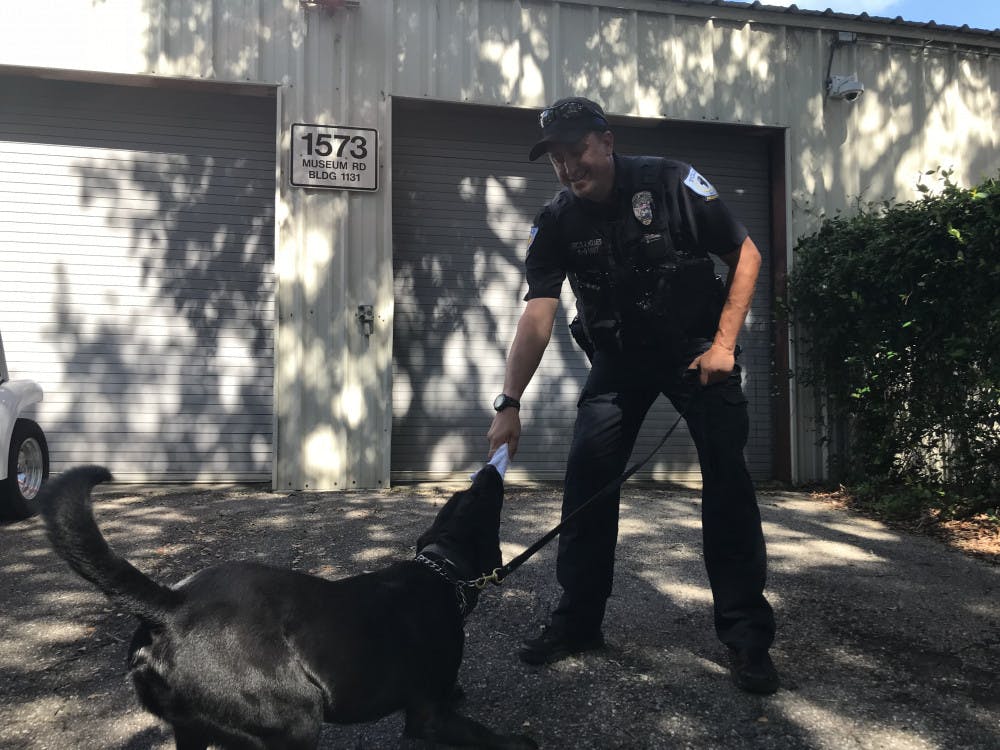 <p><span id="docs-internal-guid-b20b5de9-8260-5418-b92a-207b253c55ac">Boomer and officer Dale Holmes play tug-of-war with a rolled-up towel after Boomer finds the planted scent during a demonstration.</span></p>