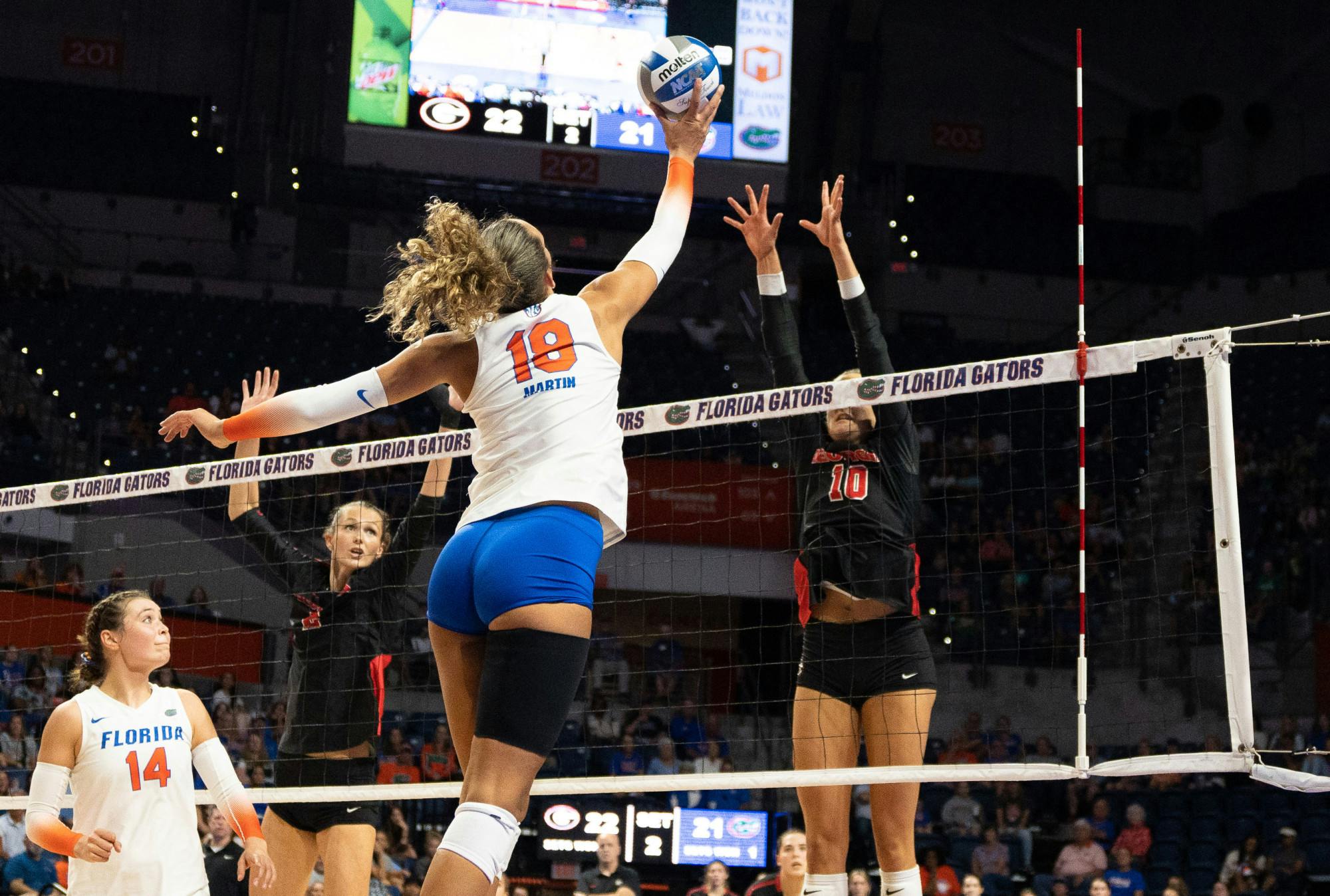 Florida 2024 gators volleyball