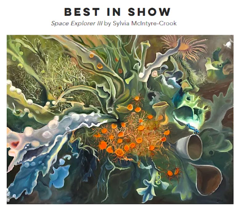 The Gainesville Fine Arts Association Summer Showcase is presented on a digital platform due to the pandemic.&nbsp;