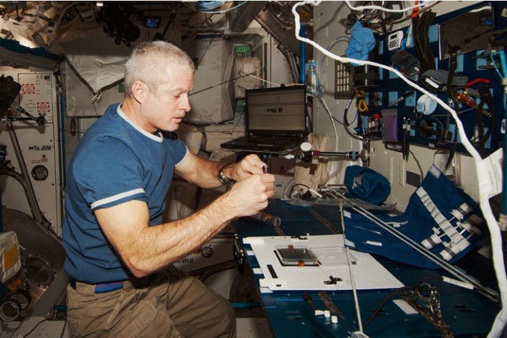Steven Swanson harvests plants in orbit via Kennedy Space Center Fixation Tubes.&nbsp;By eliminating gravity, plants have to adapt to new environments. This experiment will lead to a better understanding of the effect space has on organisms and can lead to new knowledge of space exploration.