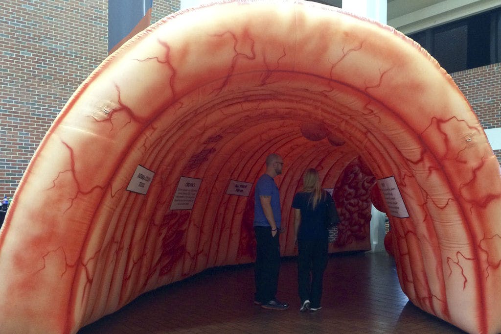 UF Health Shands Hospital displayed a 30-foot-long inflatable colon in the hospital’s atrium on Friday as part of National Colorectal Cancer Awareness Month.