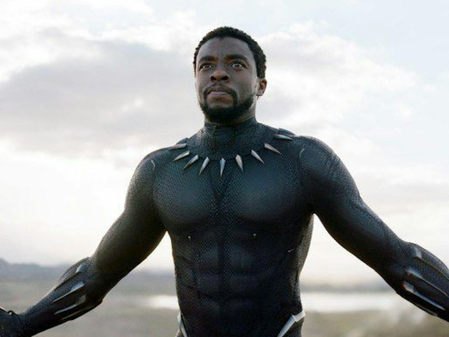 Chadwick Boseman put on a phenomenal performance as Black Panther in the 2018 blockbuster.