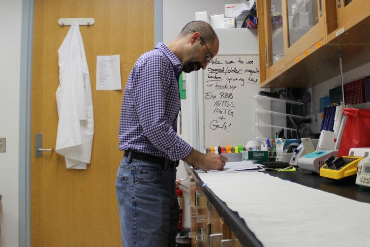 Barry Setlow, an associate professor at the UF College of Medicine, works in his lab at the McKnight Brain Institute. He and a team of researchers are testing a drug therapy that could help with memory loss.