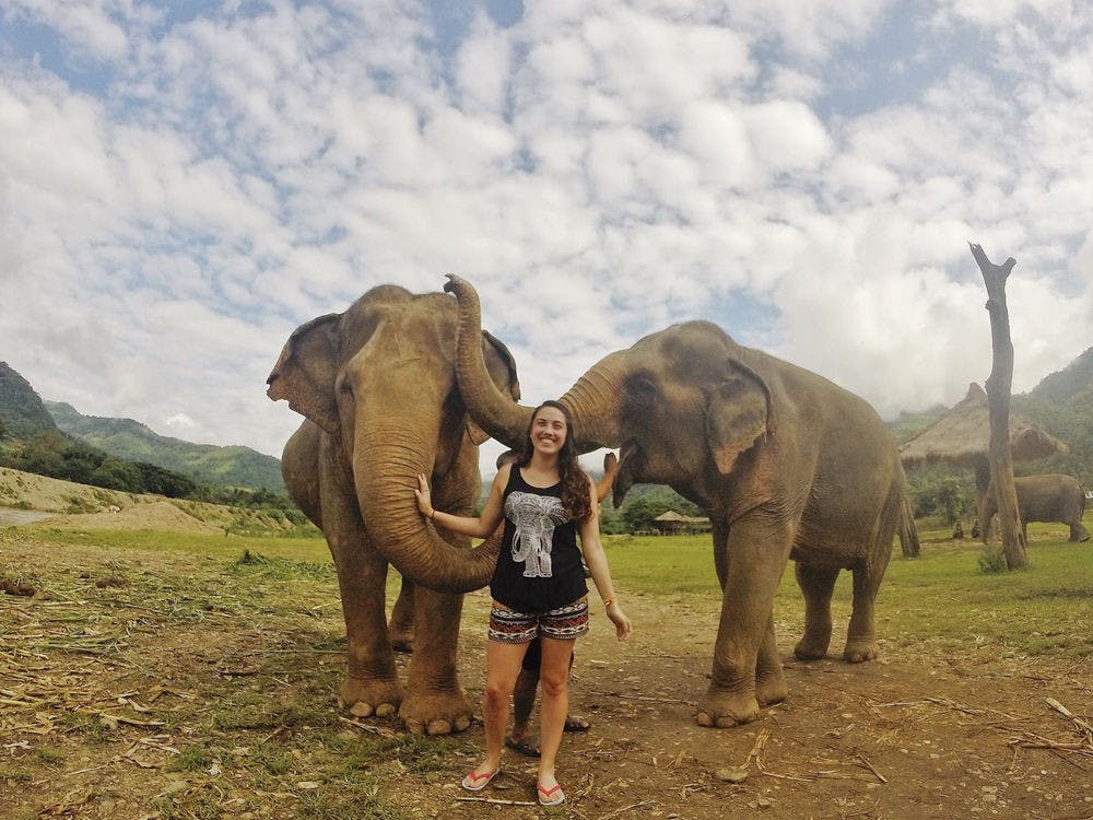 Trisha Seppey, a 23-year-old Santa Fe veterinarian junior, poses with elephants at the Elephant Nature Park in northern Thailand during her study abroad trip. Seppey chose the program, “Loop Abroad,” because it allowed her to help injured animals such as elephants and dogs.