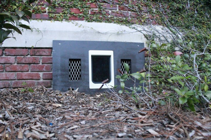 Cats that find themselves stuck under Bryan Hall can now escape without pause.