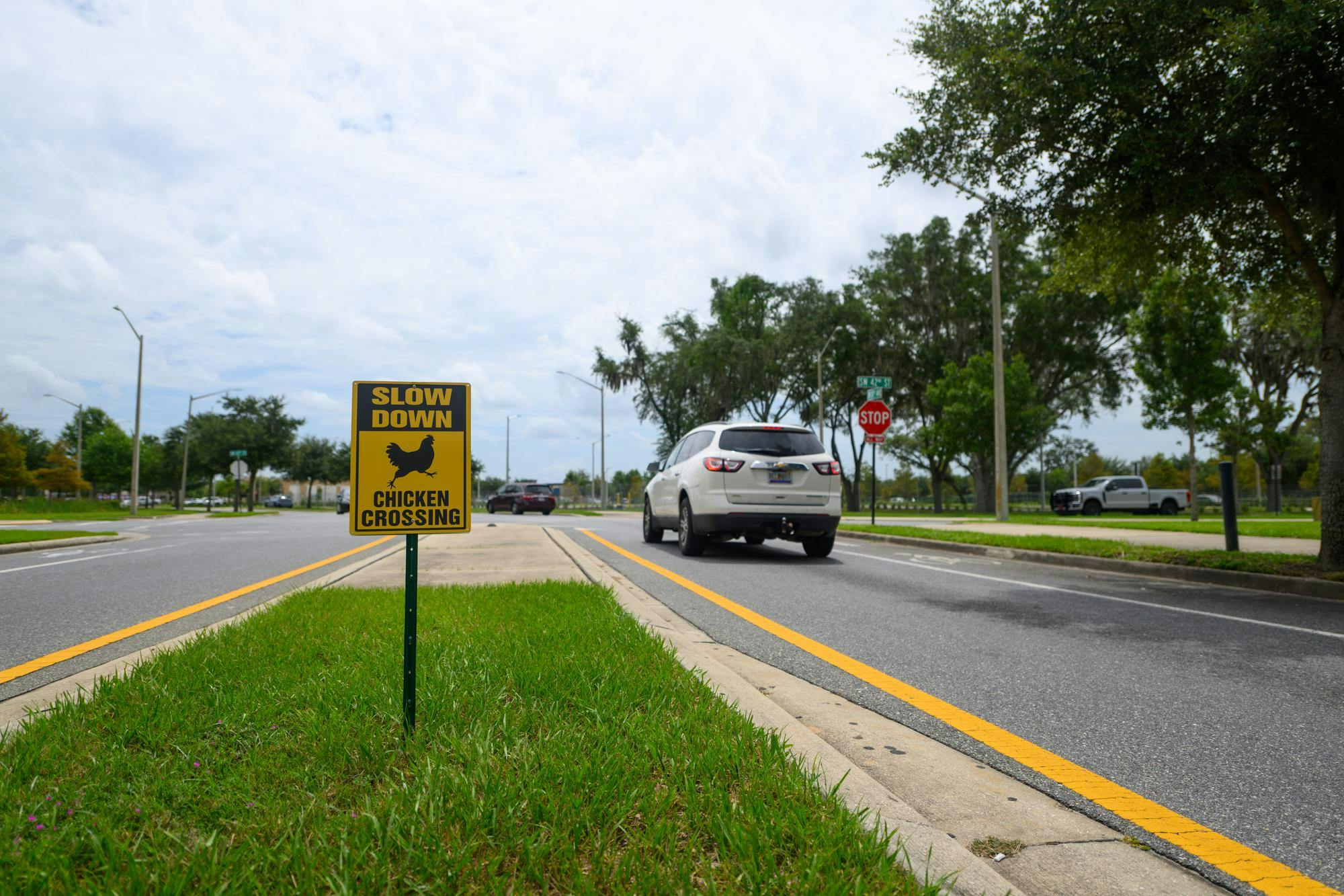 A chicken crossing sign stands on southwest 30th Avenue near Butler Plaza, Sunday July 19, 2026, in Gainesville, Fla.