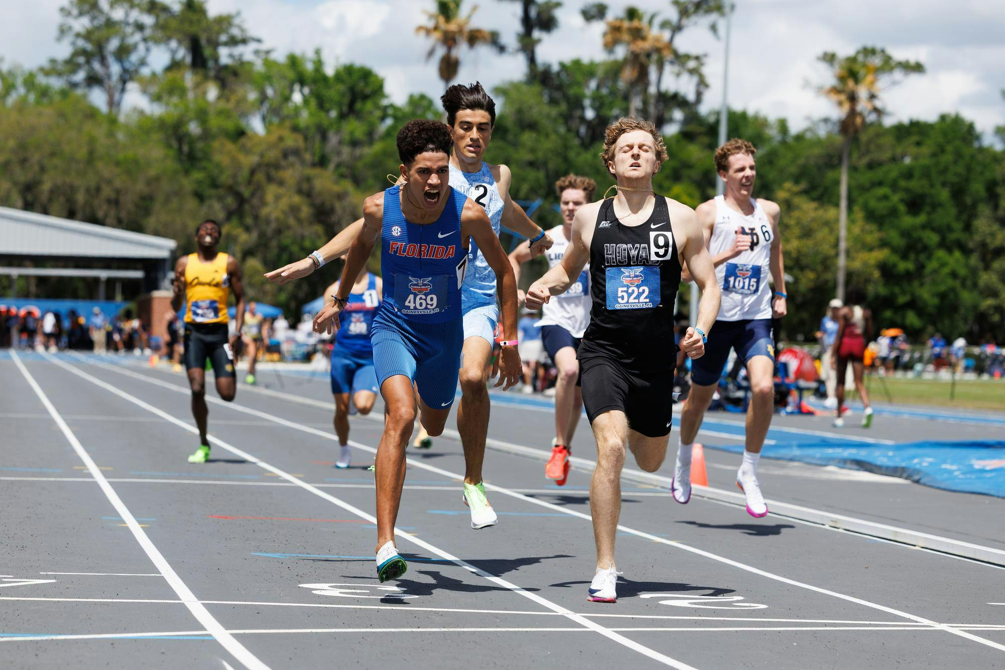 Oussama Allaoui yells as he crosses the finish line of the 800 meters during the Pepsi Florida Relays, Saturday, April 4, 2026, in Gainesville, Fla.