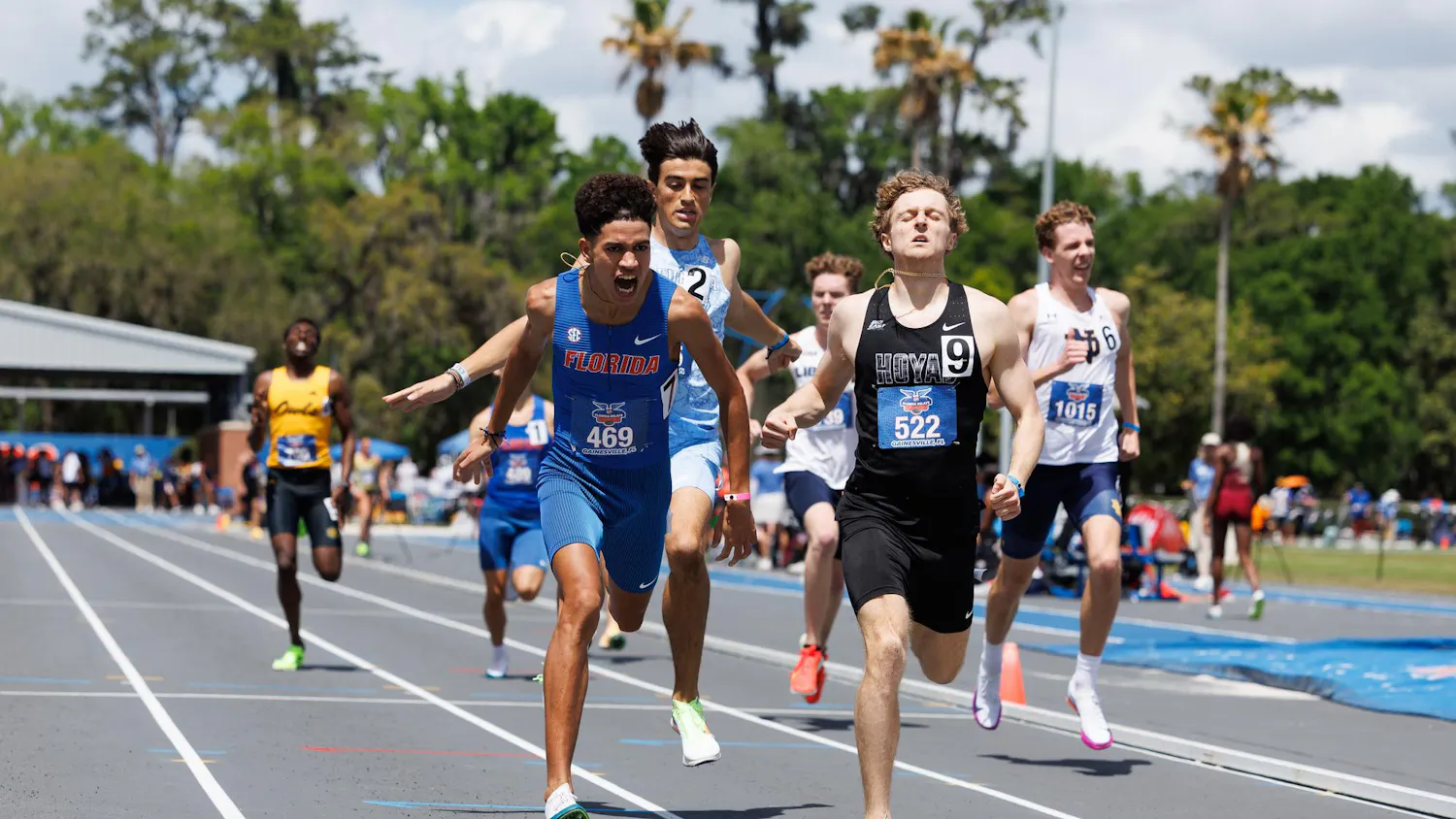 Oussama Allaoui yells as he crosses the finish line of the 800 meters during the Pepsi Florida Relays, Saturday, April 4, 2026, in Gainesville, Fla.