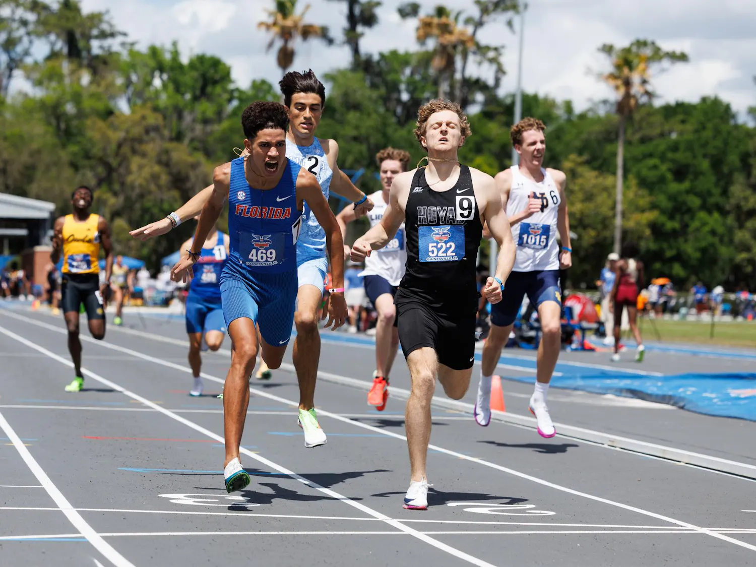 Oussama Allaoui yells as he crosses the finish line of the 800 meters during the Pepsi Florida Relays, Saturday, April 4, 2026, in Gainesville, Fla.
