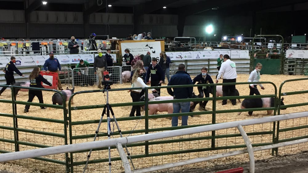 The annual event, previously held in Gainesville, was hosted at the Alachua County Agricultural and Equestrian Center in Newberry for the first time this year.
