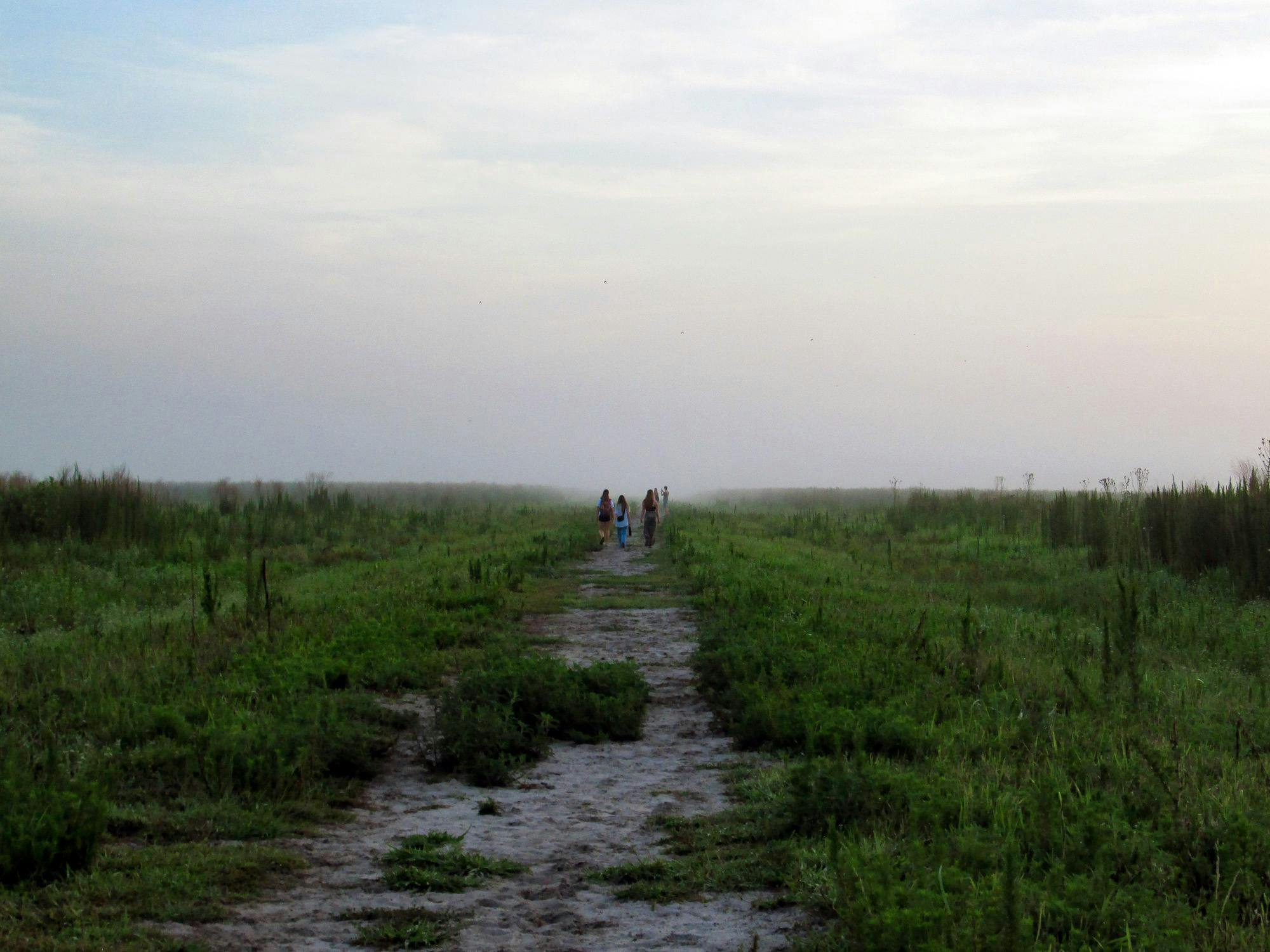 Three early risers enjoy a peaceful morning at Payne’s Prairie on the Bolen Bluff trail on Saturday, June 14, 2025.
