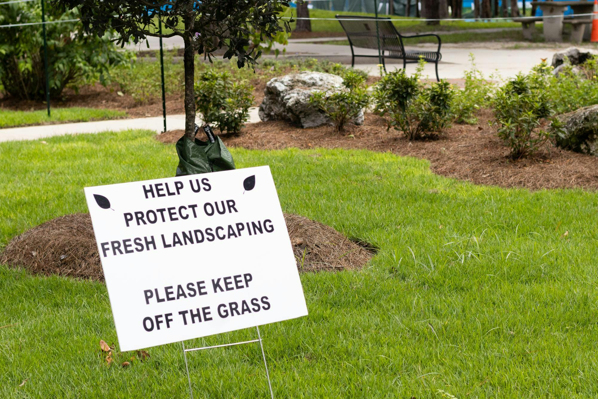 Nature areas on campus are being conserved by UF/IFAS, Friday, Sept. 12, 2026, in Gainesville, Fla.