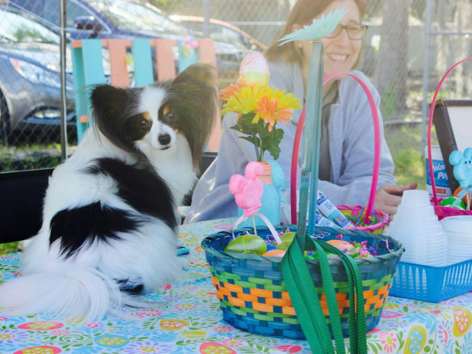 Stella sits on a table watching the other dogs hunt for Easter eggs. The papillon was happier being a spectator to the fifth-annual Pups in the Park event Saturday. 