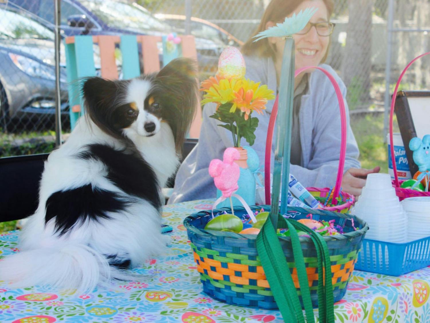 Stella sits on a table watching the other dogs hunt for Easter eggs. The papillon was happier being a spectator to the fifth-annual Pups in the Park event Saturday.&nbsp;