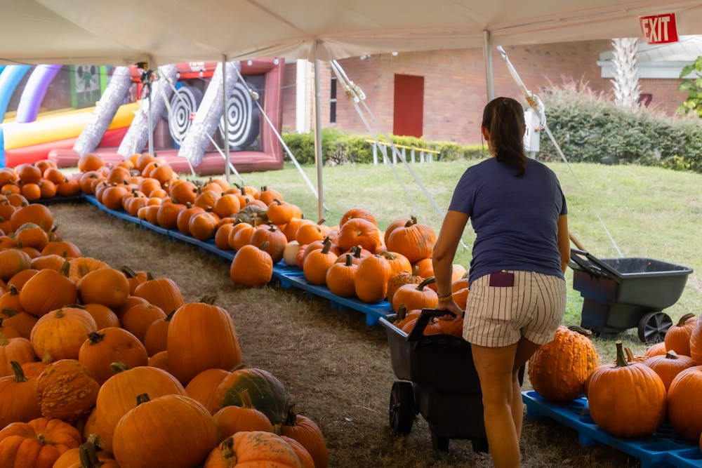 <p>Volunteer searches for spoiled pumpkins at the Abiding Savior Lutheran Church on Oct. 20, 2024.</p>