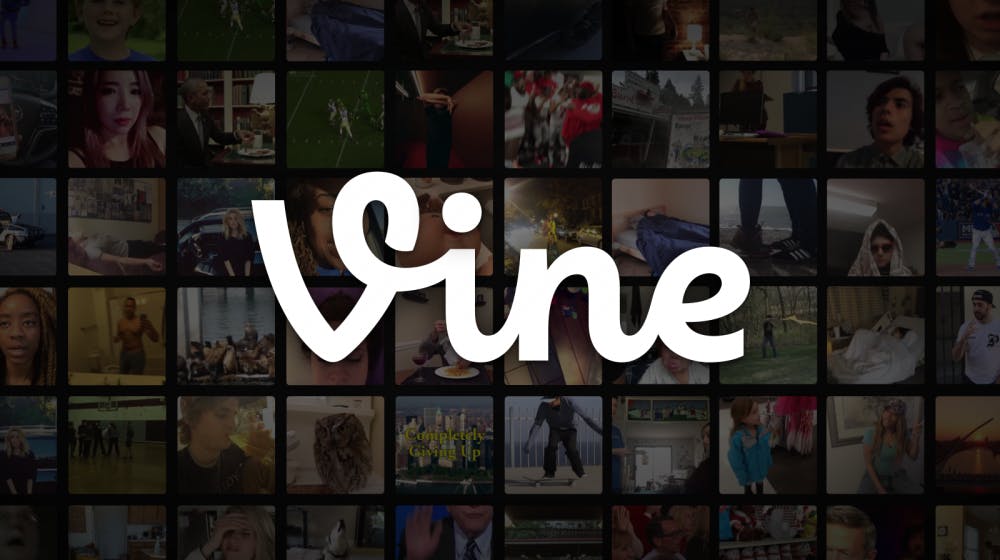 Vine