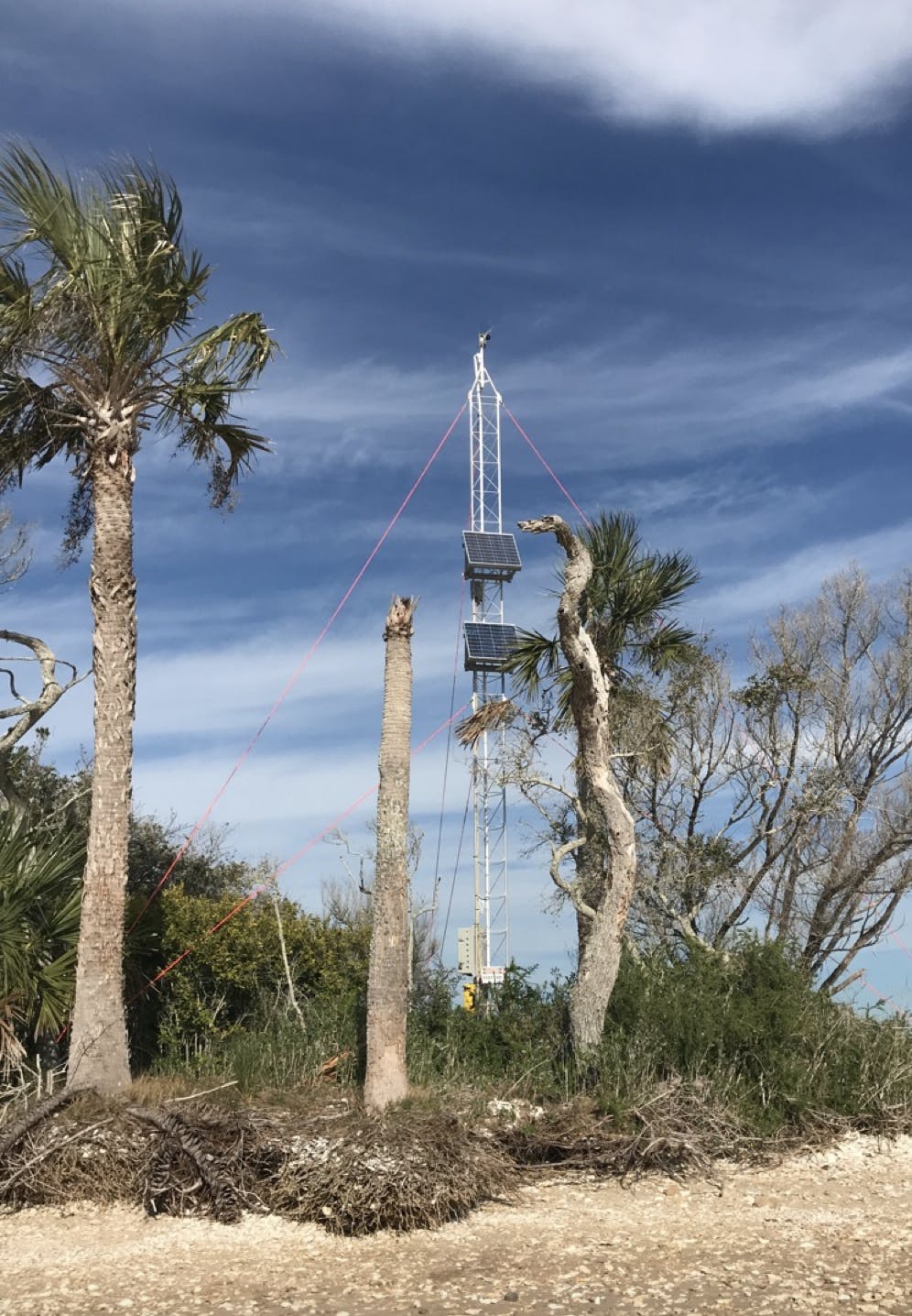 The iCoast team uses video-based monitoring of the Intracoastal Waterway to detect marine mammals and boat traffic.&nbsp;