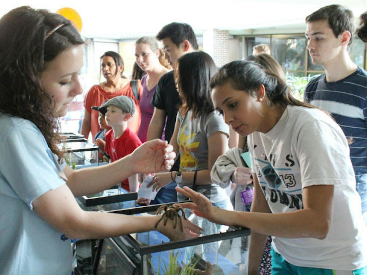 Morgan Kerr, a UF biological sciences senior, pets Rosie the tarantula at BugFest in Steinmetz Hall on Tuesday. The event included cockroach races and foods made with insect ingredients.
