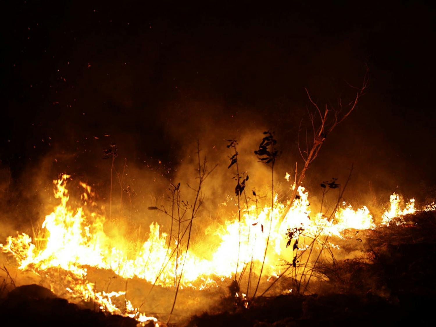 A fire burns in highway margins in the city of Porto Velho, Rondonia state, part of Brazil's Amazon, Sunday, Aug. 25, 2019. (AP Photo/Eraldo Peres)