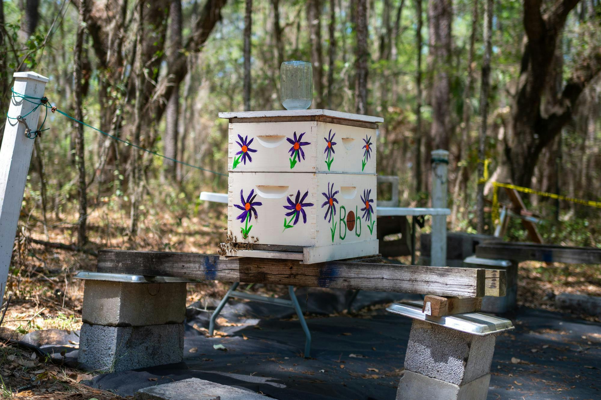 Bee Keeping