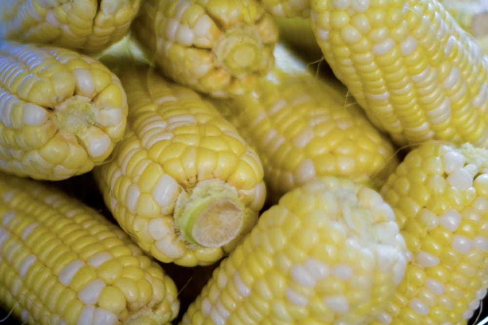 corn